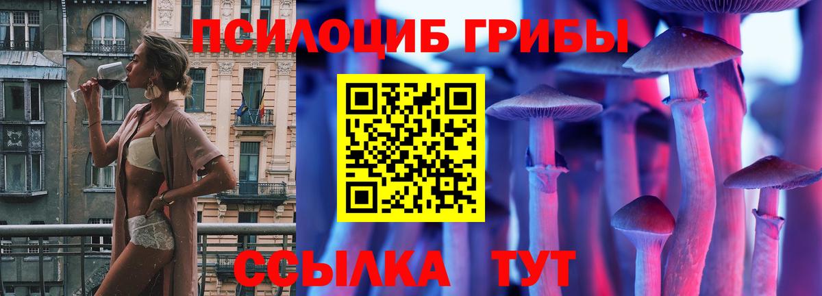 Галлюциногенные грибы мицелий  Вход с VPN  Ахтубинск 